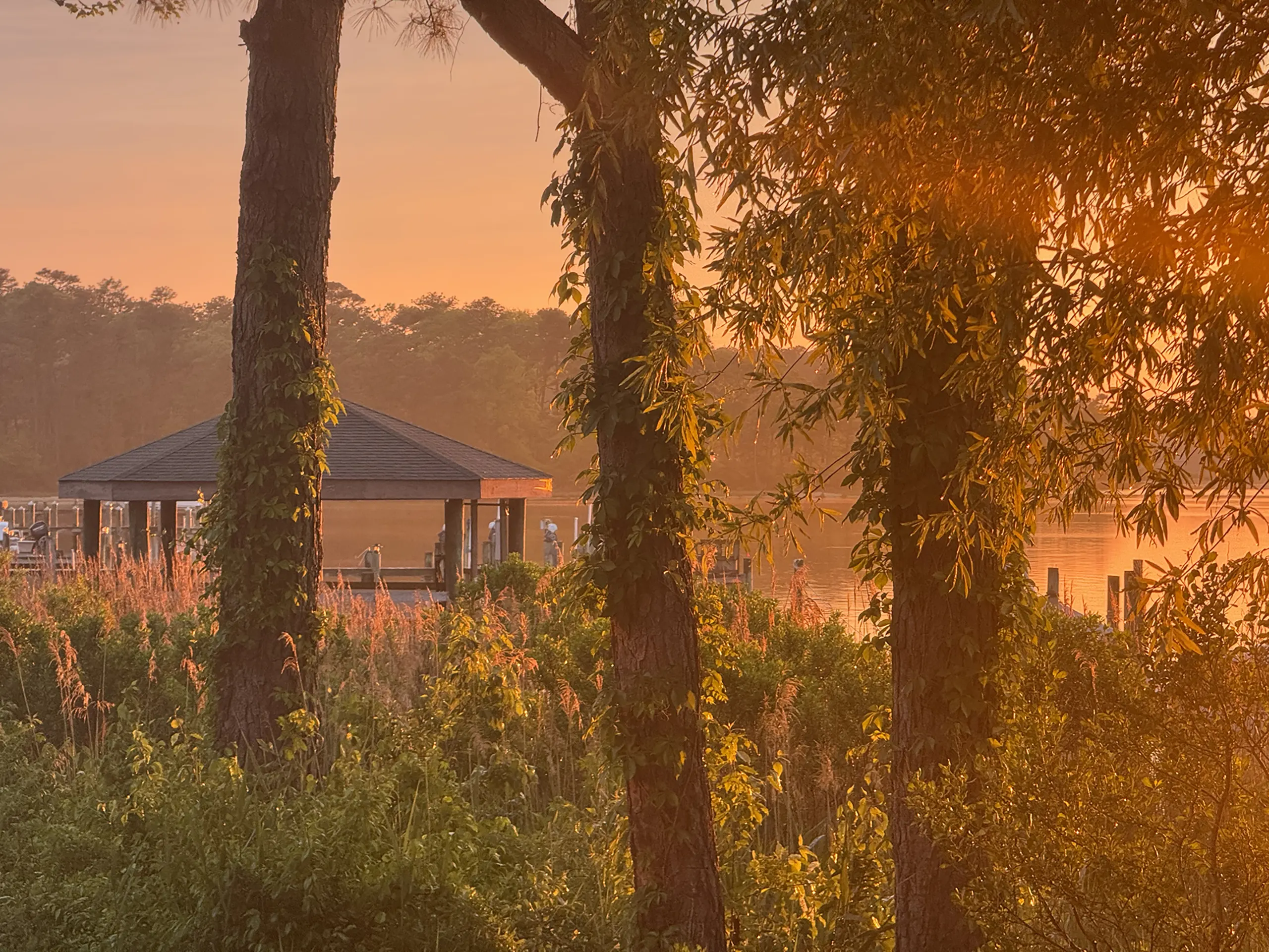 Gazebo and pier at sunset