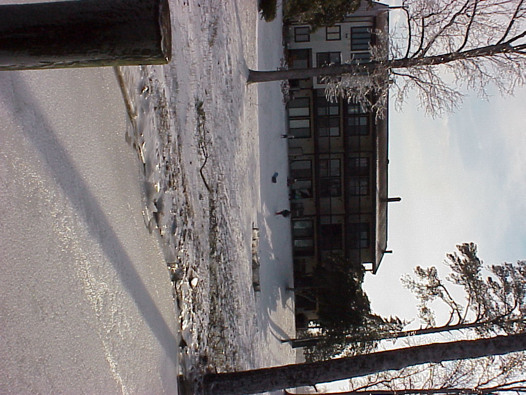 Land photo from 2003