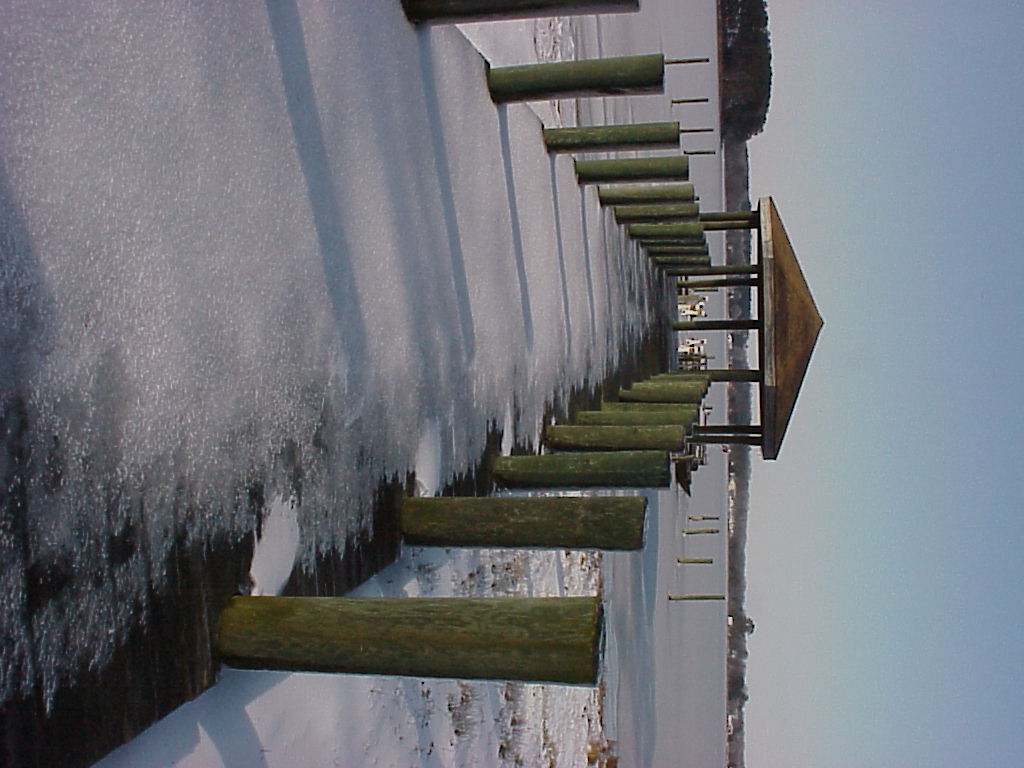 Land photo from 2003