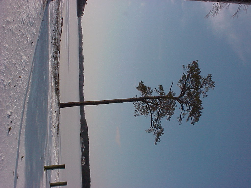 Land photo from 2003