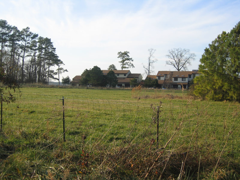 Land photo from 2004